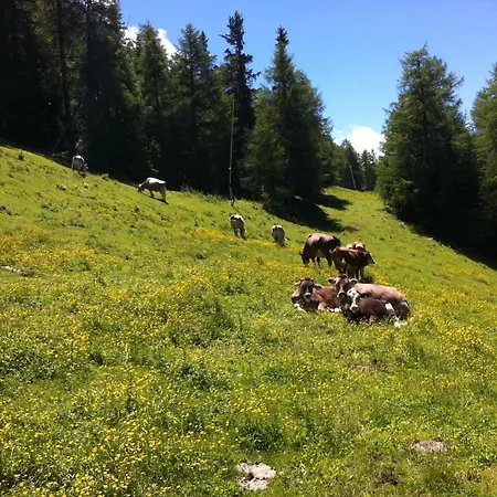 アパート Riefe *